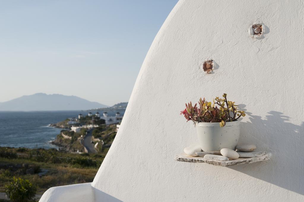 Villa Margarita Mykonos Town Exterior photo